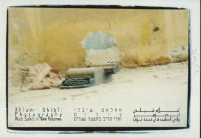 Ahlam Shibl: Photography, Wadi Saleib in Nine Volumes